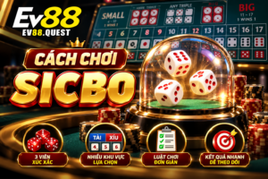 Tổng quan cách chơi Sicbo
