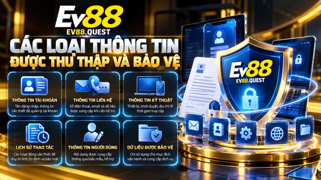 Các loại thông tin được thu thập và bảo vệ