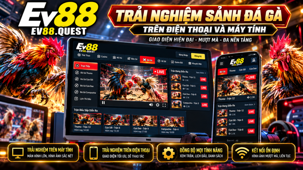 Trải nghiệm sảnh Đá Gà EV88 trên điện thoại và máy tính
